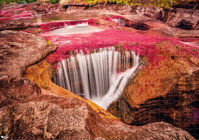 Rompecabezas de Colombia Caño Cristales